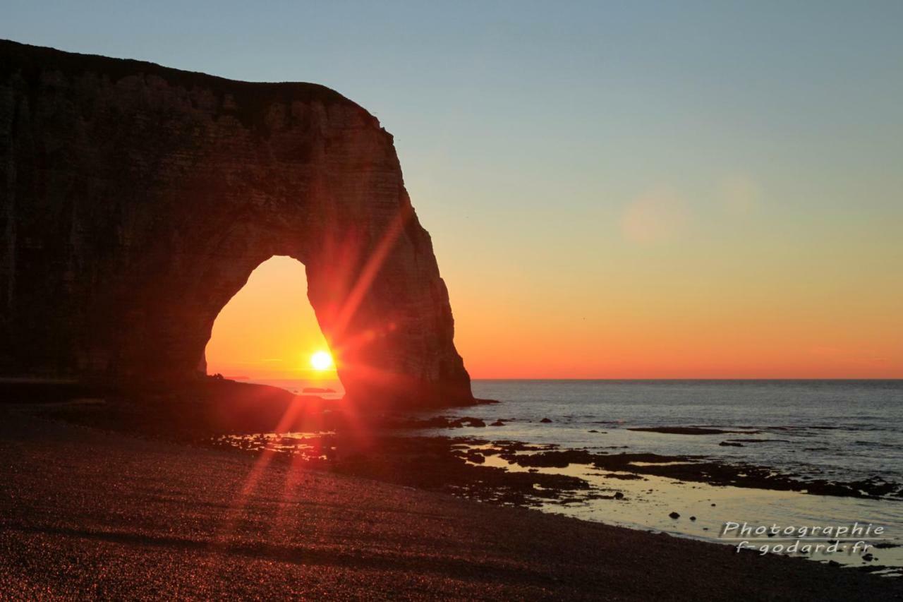 Wood * Etretat